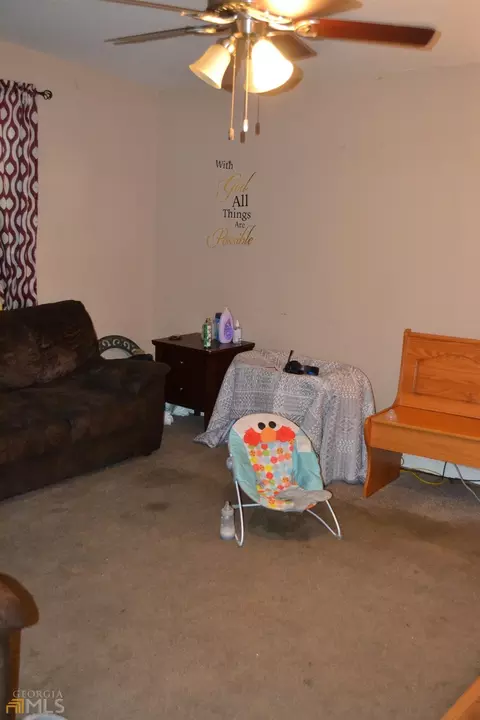 85 Birch Rd, Franklin, GA 30217 photo 12
