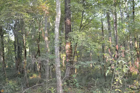 85 Birch Rd, Franklin, GA 30217 photo 10