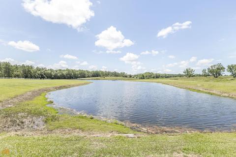 820 Ben Roy Mclendon Rd, Lyons, GA 30436 photo 5