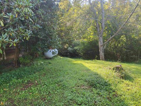 2168 J Warren Rd, Cornelia, GA 30531 photo 4