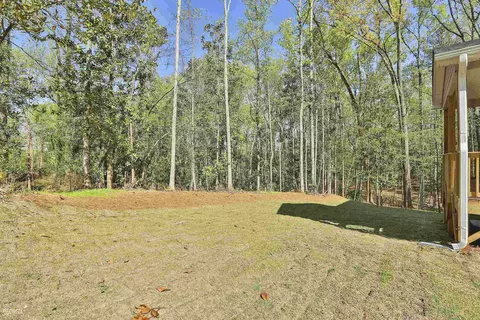 10 Singletree Ln, Newnan, GA 30263 photo 51