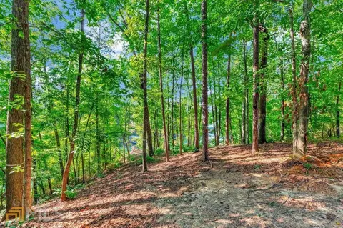 109 Mountain Mint Way, Sunset, SC 29685 photo 15