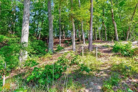 109 Mountain Mint Way, Sunset, SC 29685 photo 14