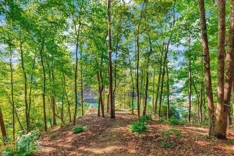109 Mountain Mint Way, Sunset, SC 29685 photo 16