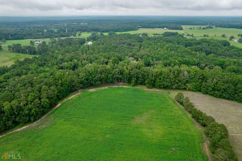 3251 Doster Rd, Rutledge, GA 30663 photo 44