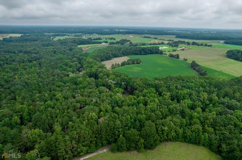 3251 Doster Rd, Rutledge, GA 30663 photo 48