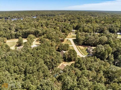 81 Hickory Rd, Jackson, GA 30233 photo 39