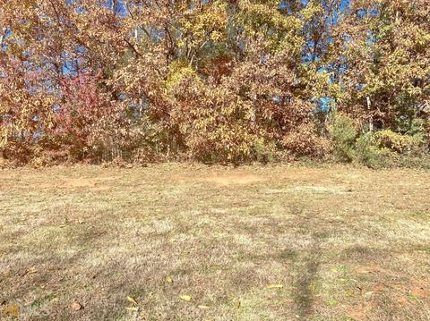 739 Bethpage Dr, Mcdonough, GA 30253 photo 1