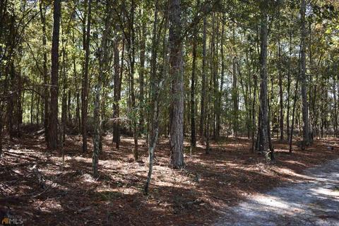 34 Timberland Cir, Lyons, GA 30436 photo 52
