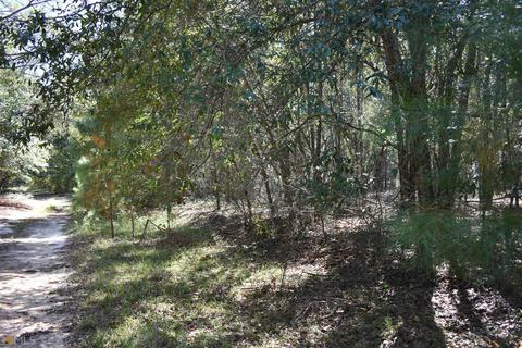 34 Timberland Cir, Lyons, GA 30436 photo 60