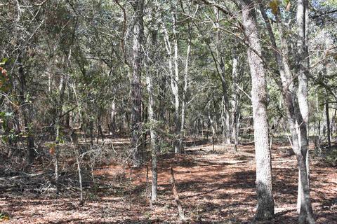 34 Timberland Cir, Lyons, GA 30436 photo 61