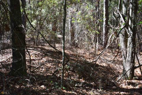 34 Timberland Cir, Lyons, GA 30436 photo 63