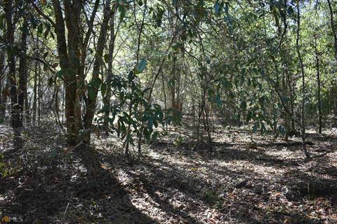 34 Timberland Cir, Lyons, GA 30436 photo 65