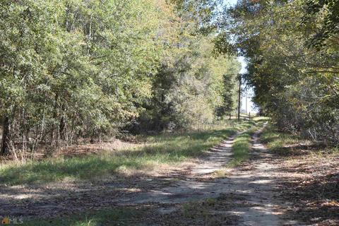 34 Timberland Cir, Lyons, GA 30436 photo 53