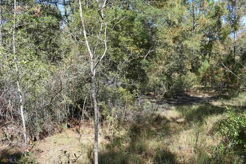 34 Timberland Cir, Lyons, GA 30436 photo 64