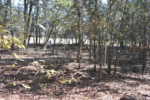 34 Timberland Cir, Lyons, GA 30436 photo 62