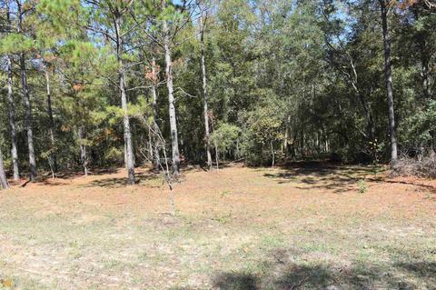 34 Timberland Cir, Lyons, GA 30436 photo 56