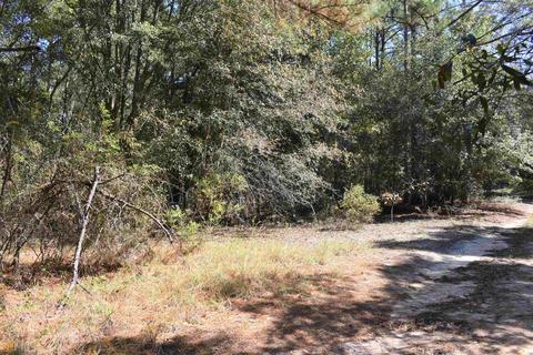 34 Timberland Cir, Lyons, GA 30436 photo 59