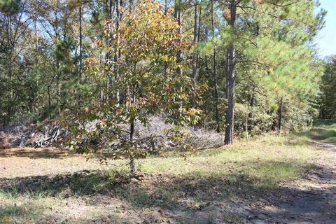 34 Timberland Cir, Lyons, GA 30436 photo 57