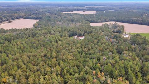 300 Whitaker Ln, Brooklet, GA 30415 photo 100