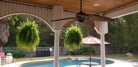 206 Hedge Row, Dublin, GA 31021 photo 80