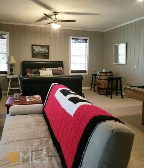 124 Fire Tower Rd, Mount Vernon, GA 30445 photo 48