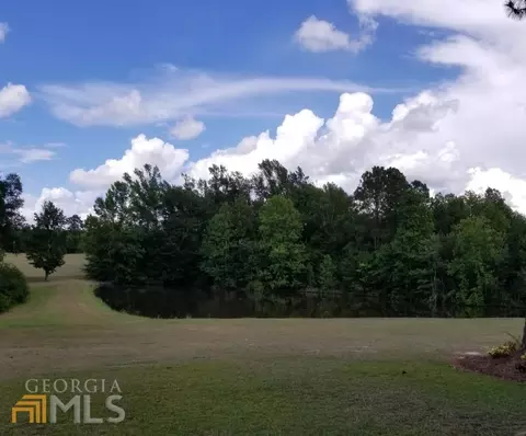 124 Fire Tower Rd, Mount Vernon, GA 30445 photo 6