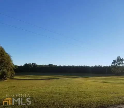 124 Fire Tower Rd, Mount Vernon, GA 30445 photo 5