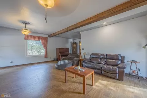 847 Rose Conley Rd, Carnesville, GA 30521 photo 46