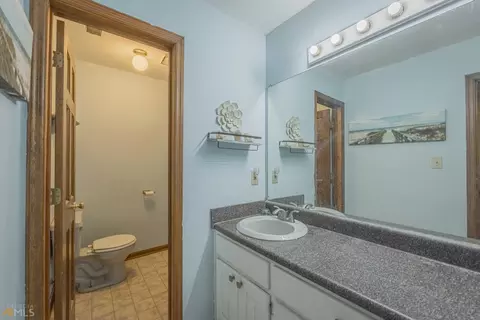 847 Rose Conley Rd, Carnesville, GA 30521 photo 88