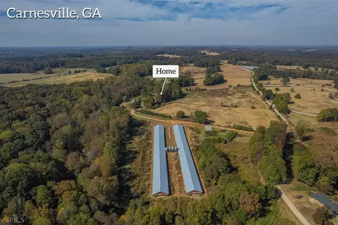 847 Rose Conley Rd, Carnesville, GA 30521 photo 5