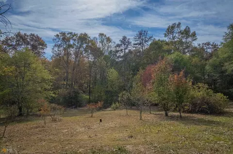 847 Rose Conley Rd, Carnesville, GA 30521 photo 15