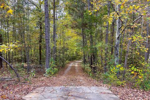 290 Steele Branch Ct, Hampton, GA 30228 photo 32