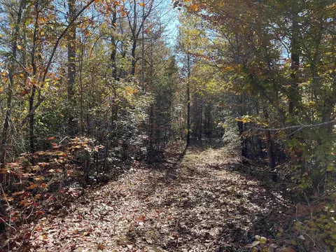 0 Sunshine Ridge Dr, Toccoa, GA 30577 photo 6