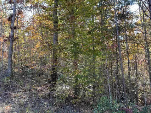0 Sunshine Ridge Dr, Toccoa, GA 30577 photo 26