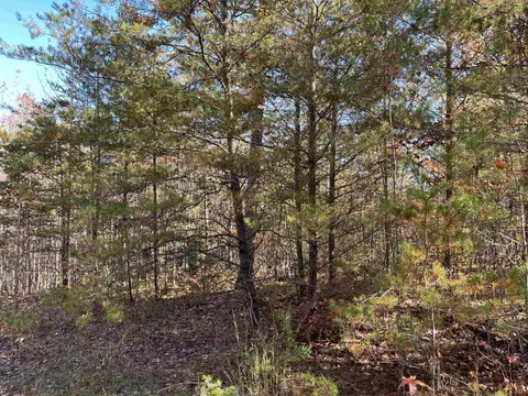 0 Sunshine Ridge Dr, Toccoa, GA 30577 photo 17