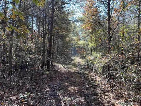 0 Sunshine Ridge Dr, Toccoa, GA 30577 photo 5