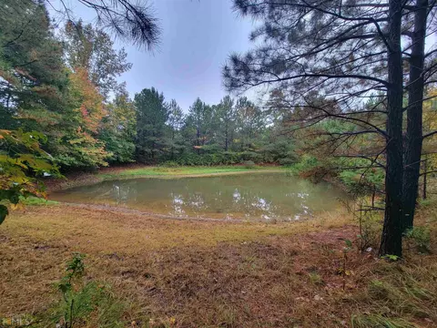 457 Mcdonough Rd, Hampton, GA 30228 photo 28