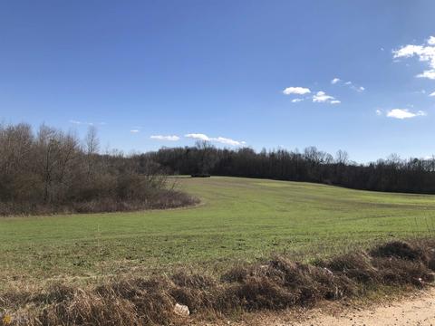 524 Goolsby Rd, Carnesville, GA 30521 photo 15