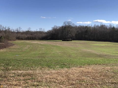 524 Goolsby Rd, Carnesville, GA 30521 photo 5