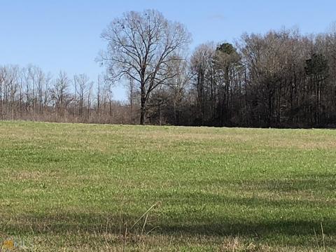 524 Goolsby Rd, Carnesville, GA 30521 photo 14