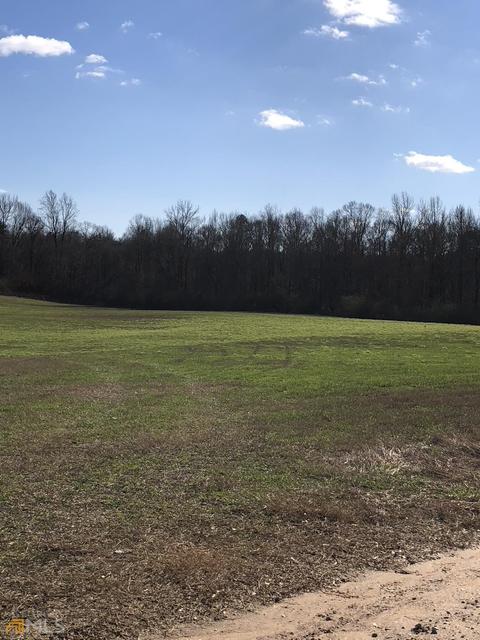 524 Goolsby Rd, Carnesville, GA 30521 photo 8