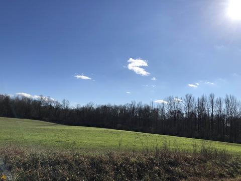 524 Goolsby Rd, Carnesville, GA 30521 photo 10