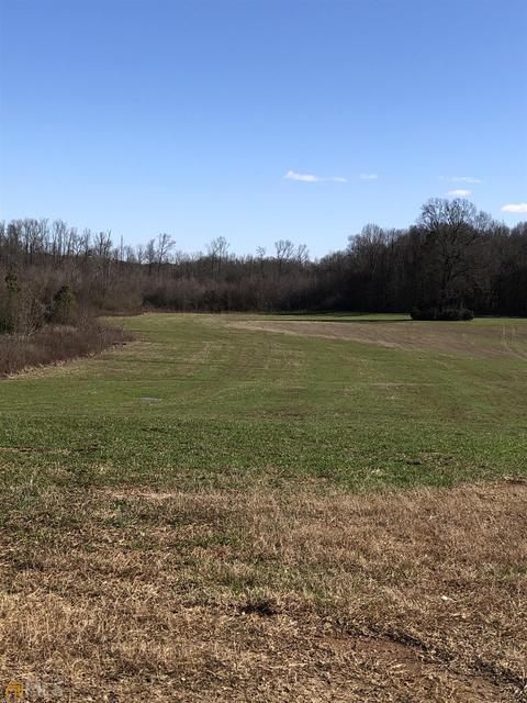 524 Goolsby Rd, Carnesville, GA 30521 photo 9