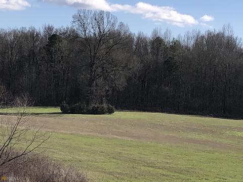524 Goolsby Rd, Carnesville, GA 30521 photo 16