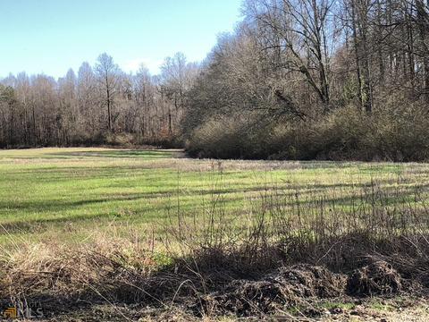 524 Goolsby Rd, Carnesville, GA 30521 photo 12