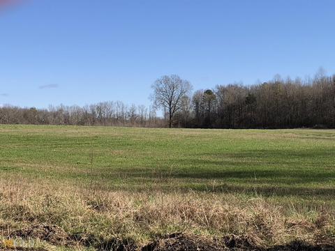 524 Goolsby Rd, Carnesville, GA 30521 photo 11