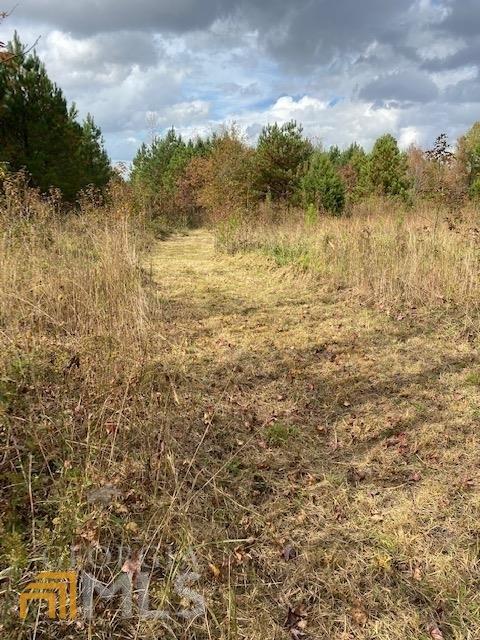 618 Crawford Rd, Barnesville, GA 30204 photo 14