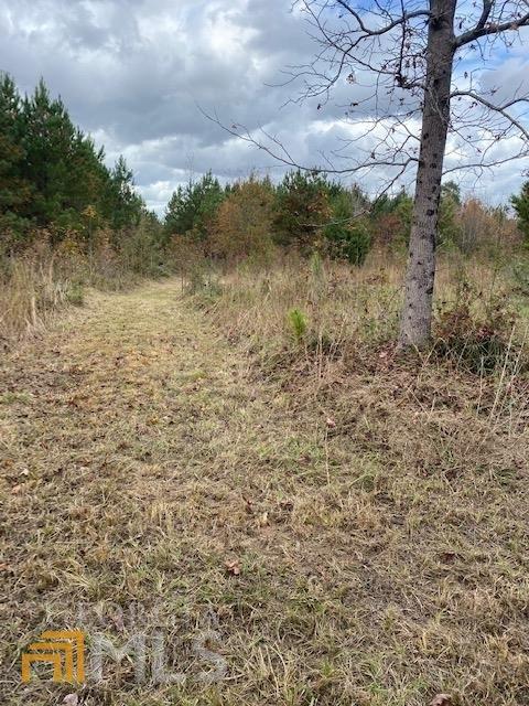 618 Crawford Rd, Barnesville, GA 30204 photo 3