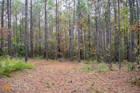 658 Beasley Rd, Roberta, GA 31078 photo 7